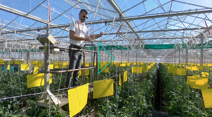 Agence RJS, Agence, Communication, Conseil, Creative, Paris, Massy, Motion, Motion Vidéos, Motion Design, Animation, 3D, Simple, C'est quoi, Définition, Explication, Choisir